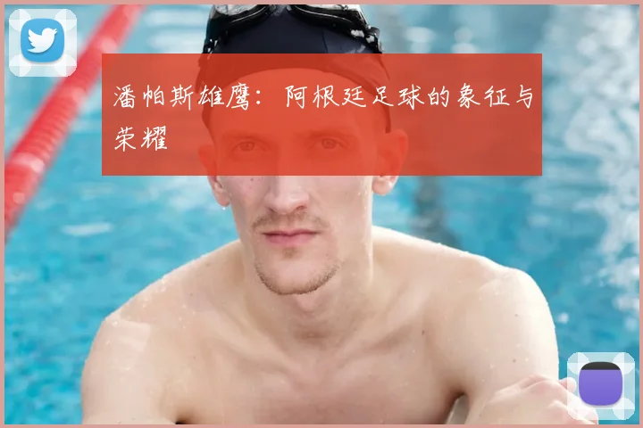 潘帕斯雄鹰：阿根廷足球的象征与荣耀