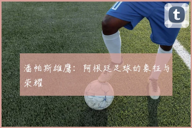 潘帕斯雄鹰：阿根廷足球的象征与荣耀